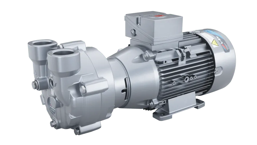 Elmo Rietschle (Gardner Denver) L-Series L-BV - Liquid ring